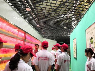 心系三農，讓農業插上科技的翅膀——網絡工程賦能現代農業發展